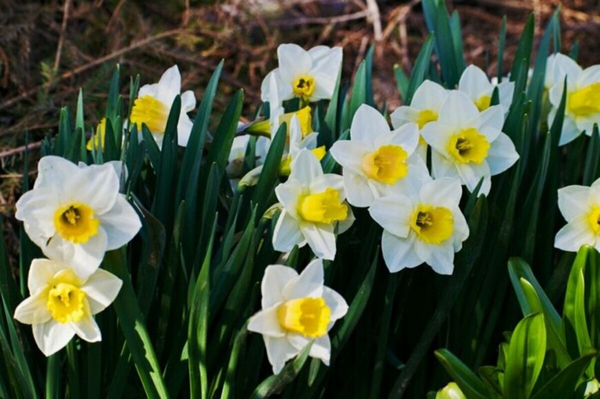 Andrei Lavrinov/istockphoto.com