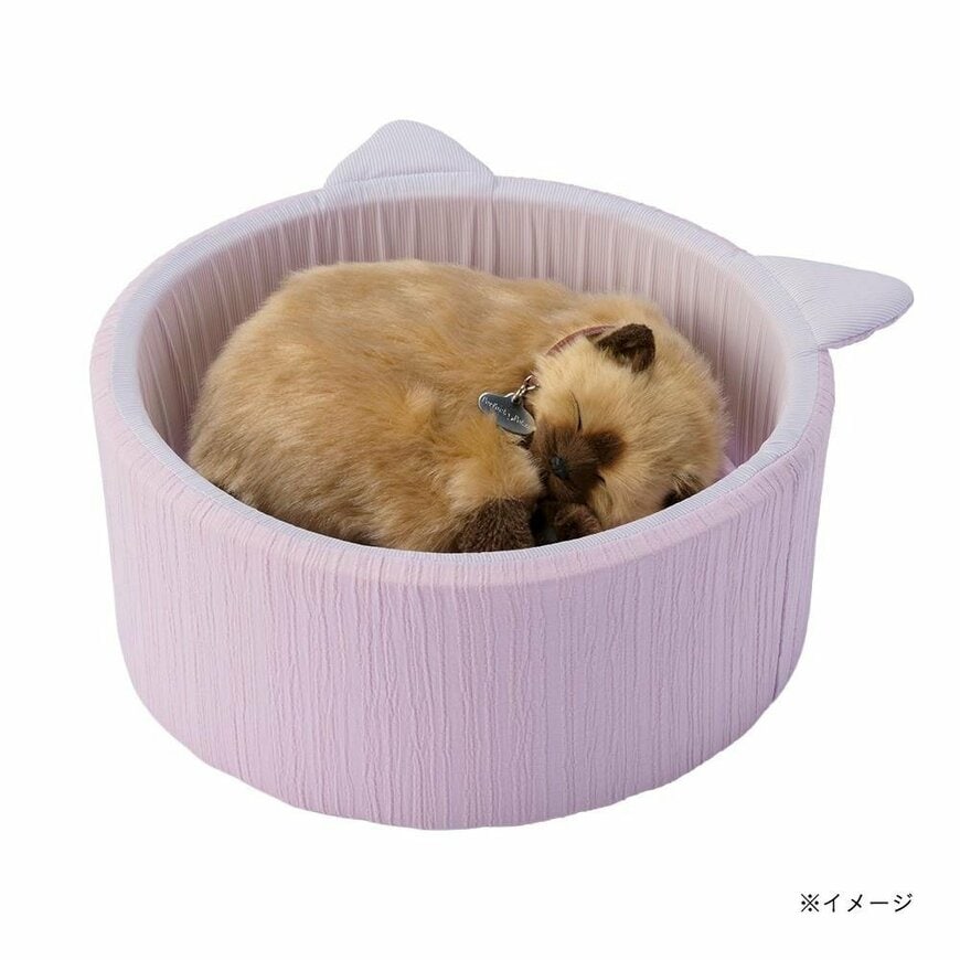 画像出所：カインズ公式オンラインストア