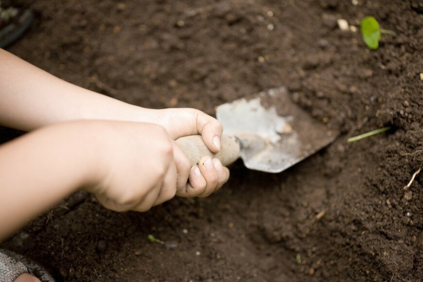 gyro/istockphoto.com