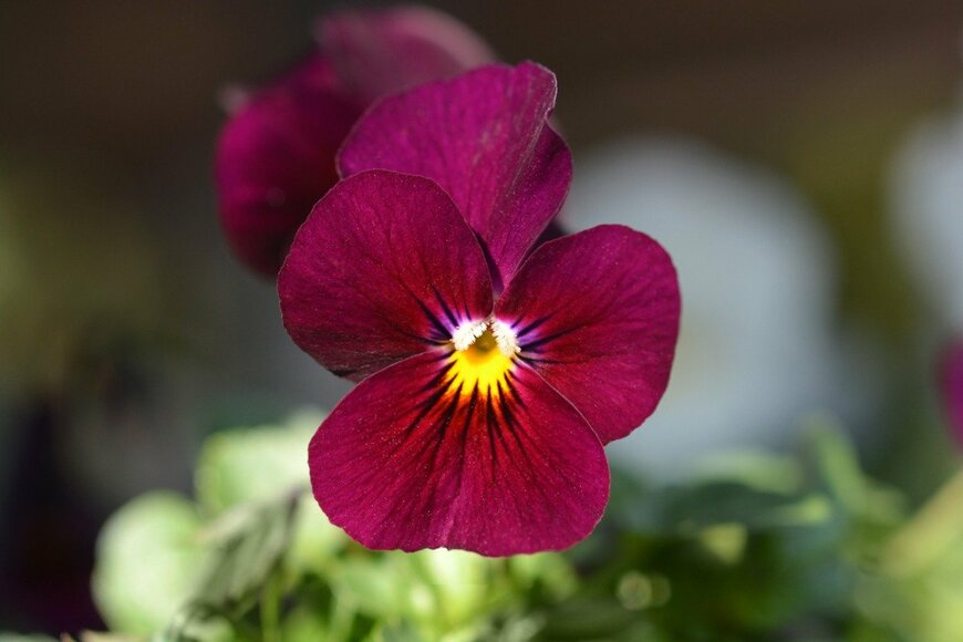 Nahhan/istockphoto.com