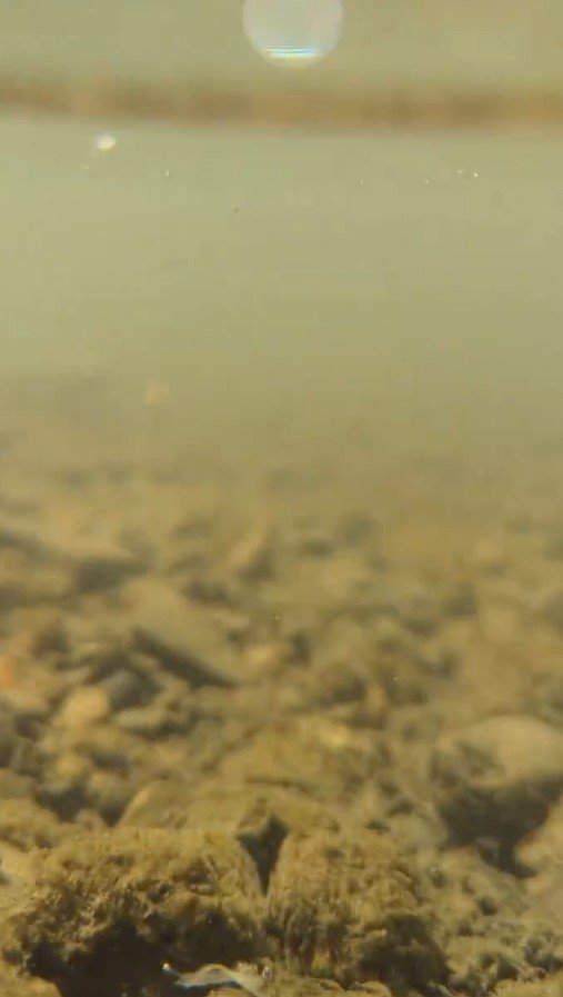 出所：@huono_ihminen