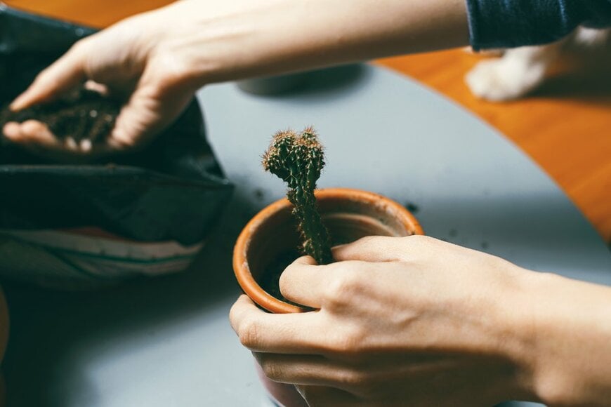 Vulp/Shutterstock.com