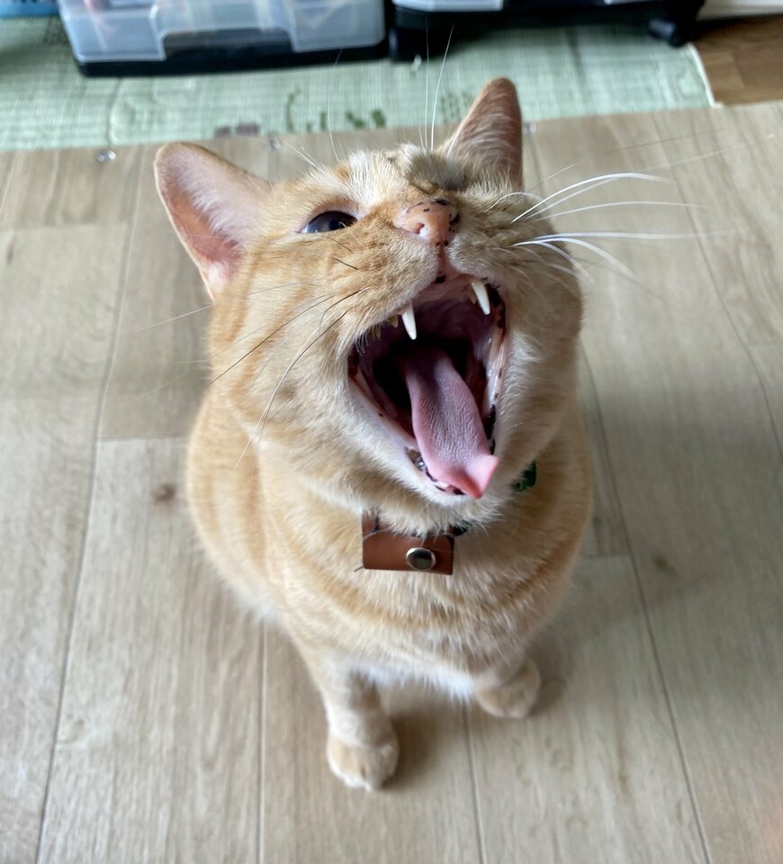 出所：@luna7taka9