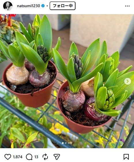 出所：小川菜摘のInstagram（＠natsumi1230）　参照日：2026年1月28日
