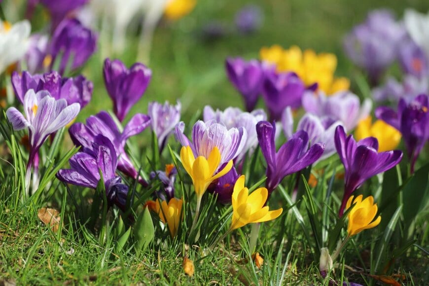 Kabar/shutterstock.com