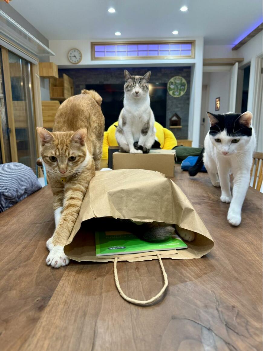 出所：@omochi_nam01