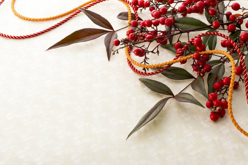 natu/Shutterstock.com