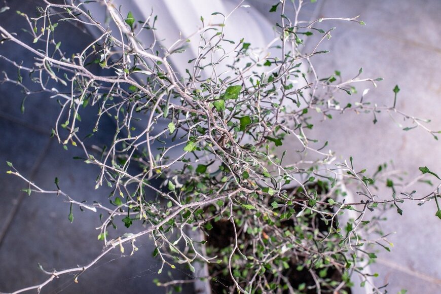 killerbayer/istockphoto.com