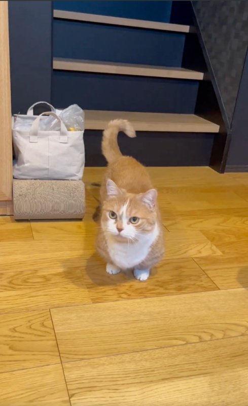 出所：@kotaro_0315