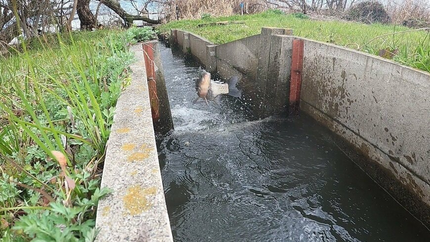 出所：@jwa_biwako