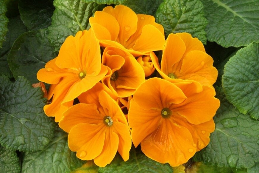 Nicola_Romano/istockphoto.com