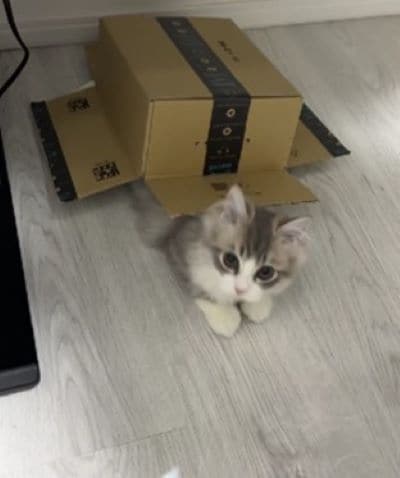 出所：@rurudiary_