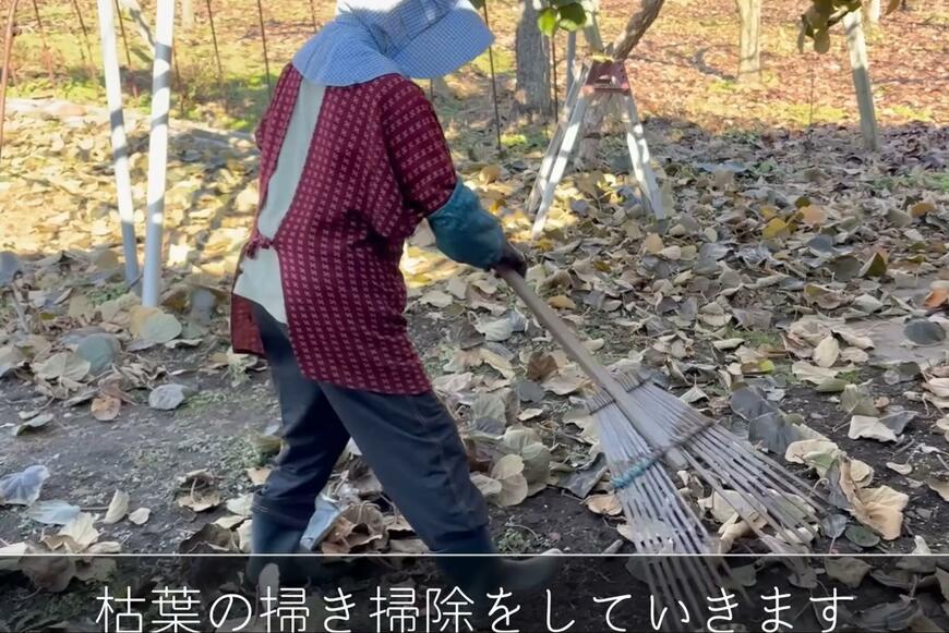94歳のおばあちゃん