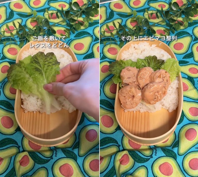 投稿の画像