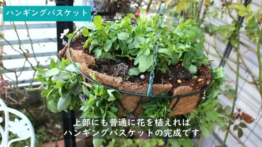 @チェリーガーデン