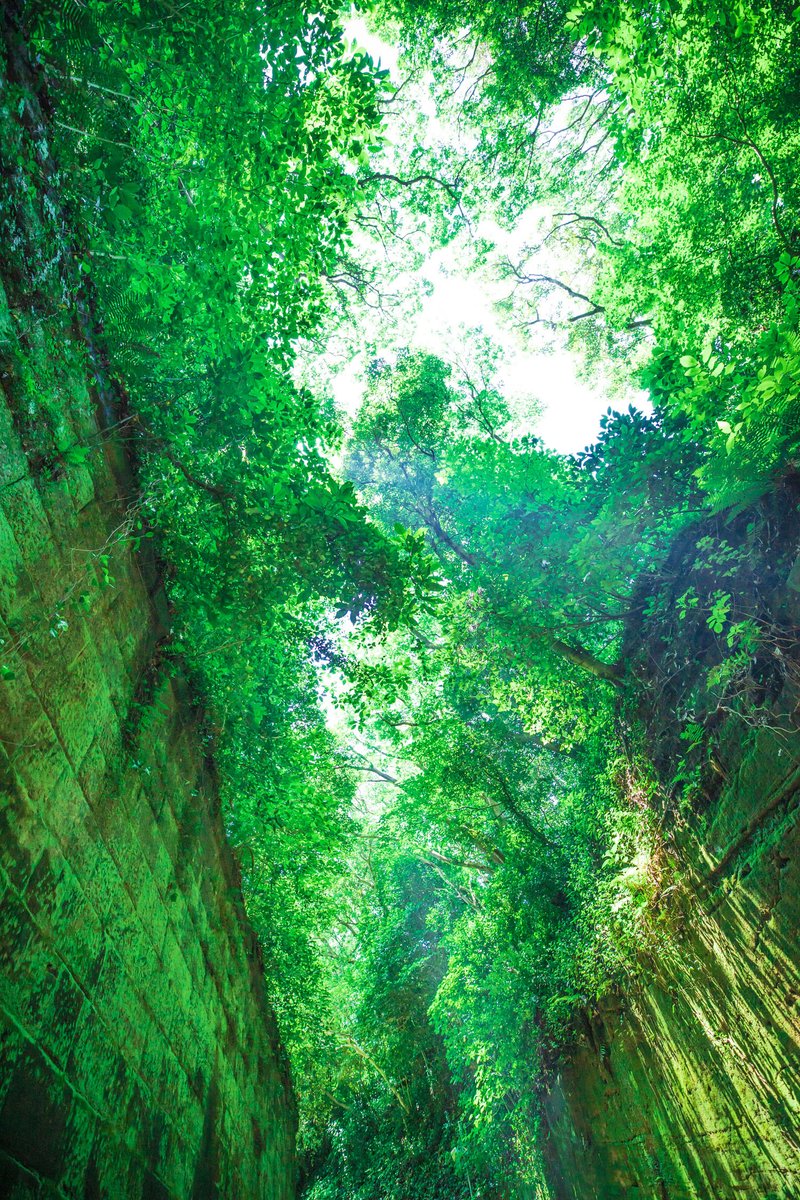 自然と建物の共存