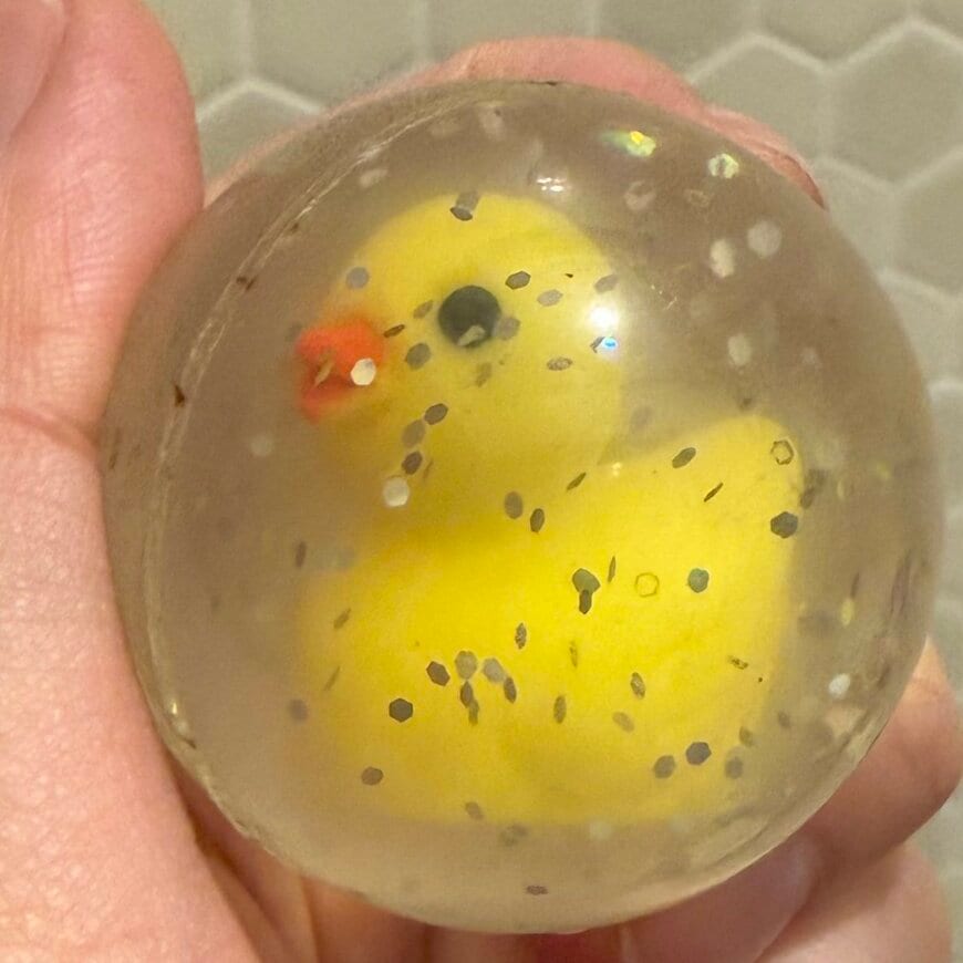 スーパーボールの中にいるひよこ