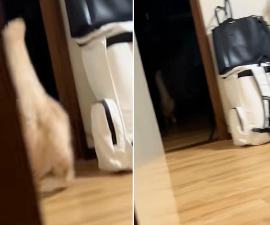 投稿の画像