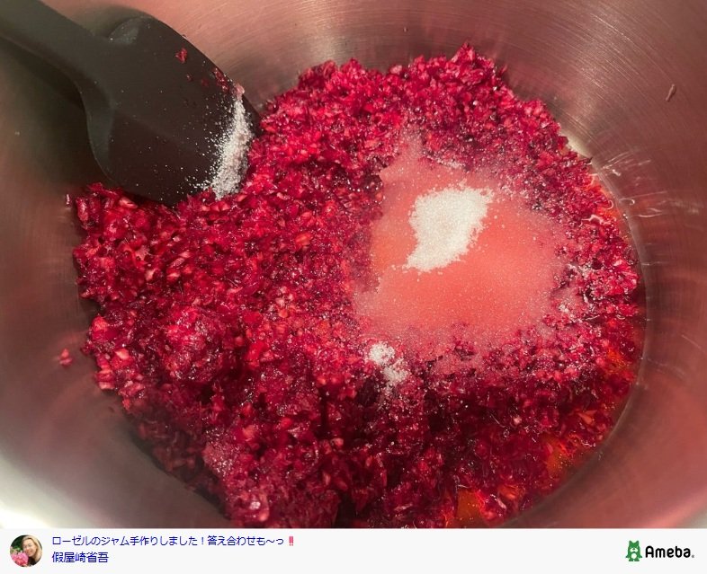 假屋崎省吾のAmebaブログ投稿