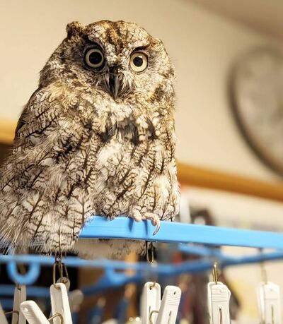 投稿写真のワンシーン