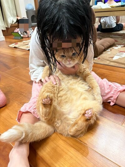 抱っこされるすずくん