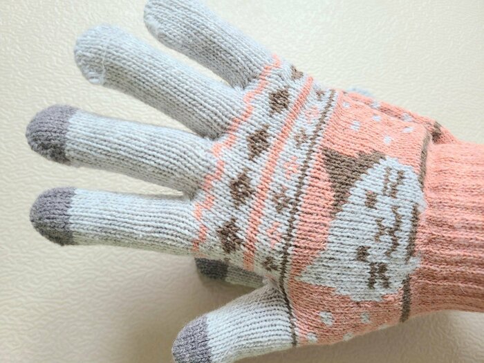 手の大きさは女性の標準的なサイズの筆者が手袋をはめてみました