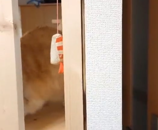 出所：@nekotansoku