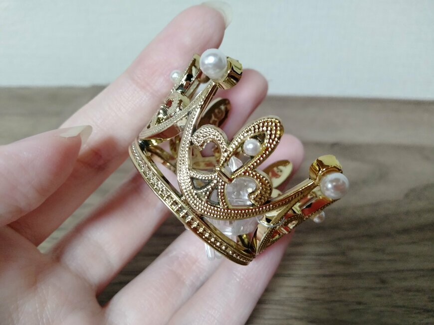 筆者撮影（セリア、ペット用クラウン）