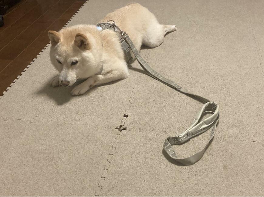 出所：@sora_haruico