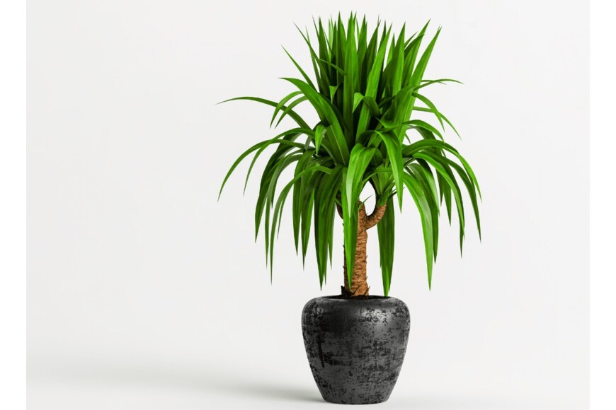 Aphap/istockphoto.com