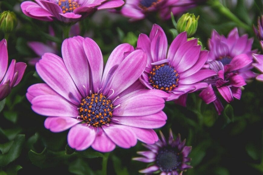 jotaelesalinas/istockphoto.com