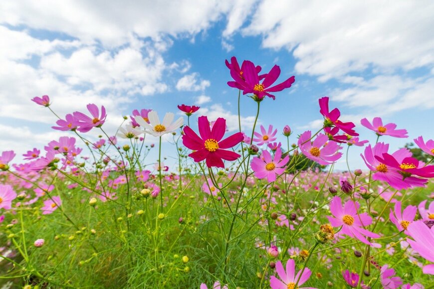 surokuma/istockphoto.com