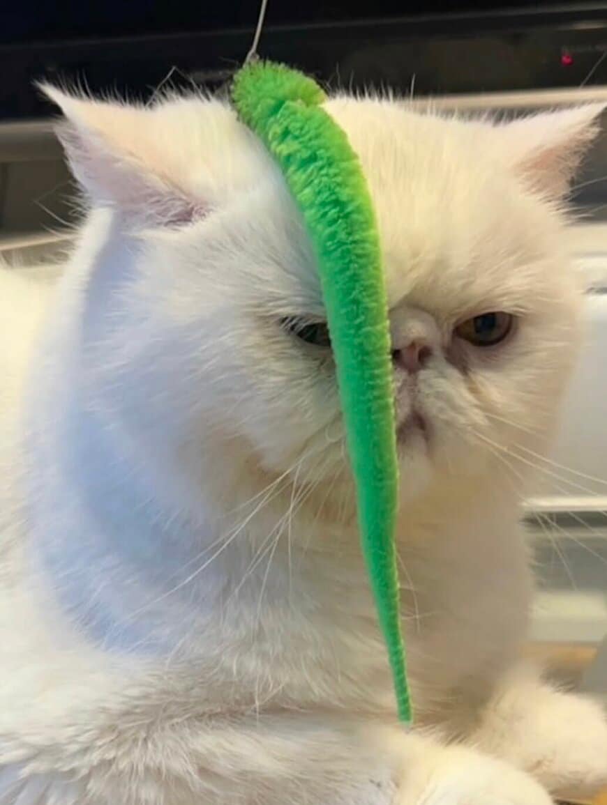 出所：@kotetsu_0420