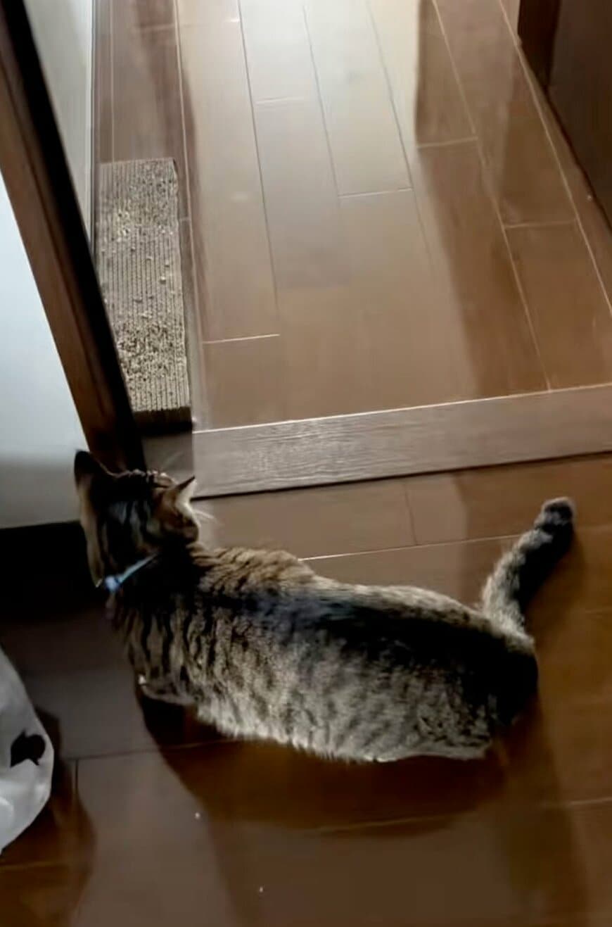 出所：@sorakai0905