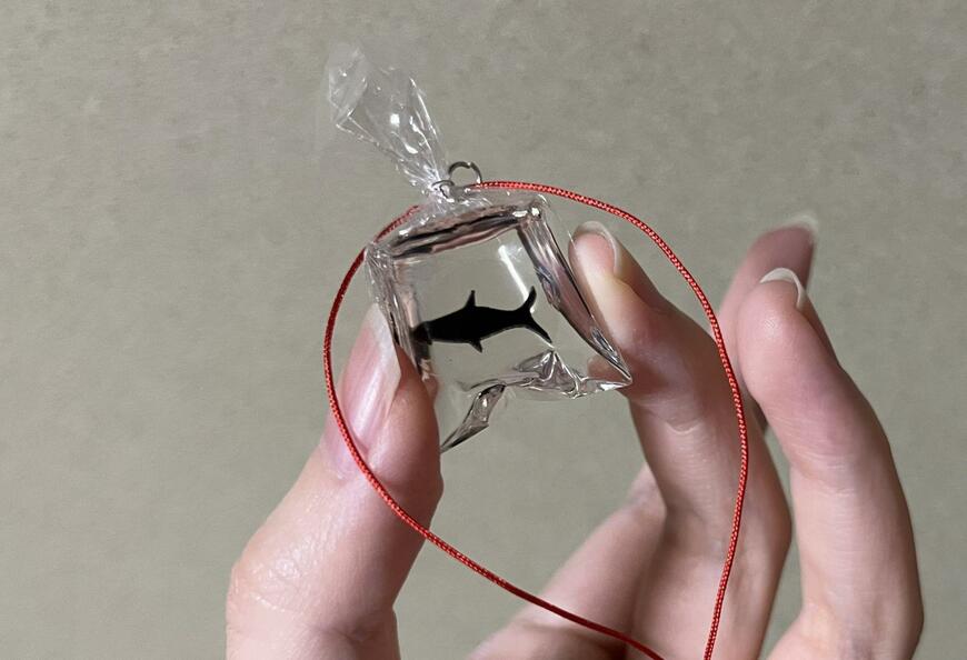 筆者撮影（セリア、金魚パーツ）