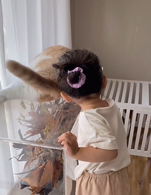 出所：@chanmaro1125