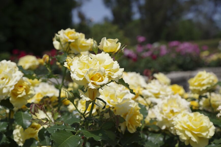 zzz555zzz/Shutterstock.com