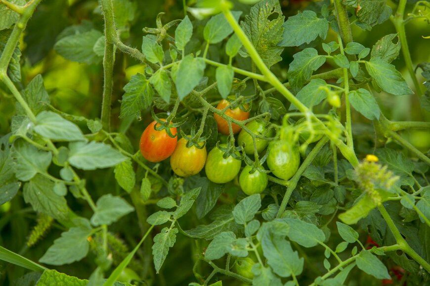 Origovisualis/istockphoto.com