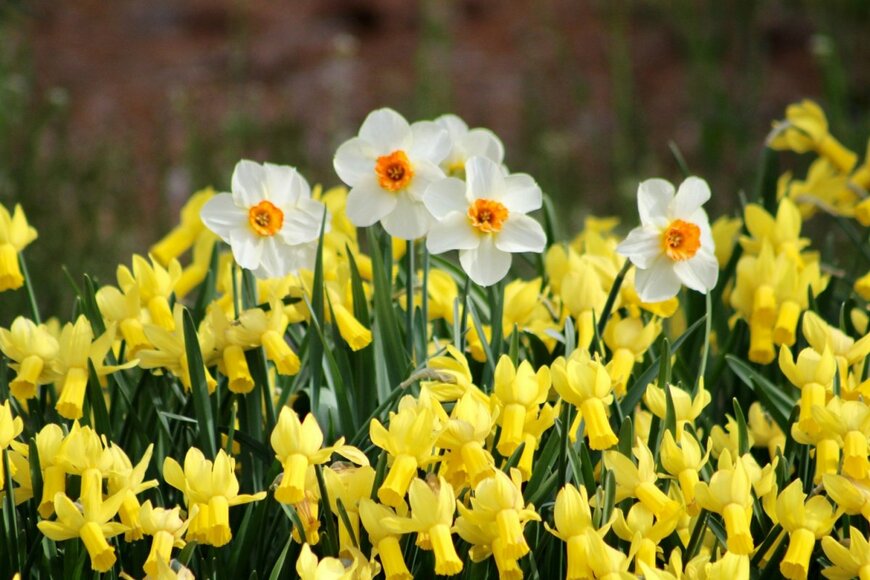 Jaclyn Vernace/shutterstock.com