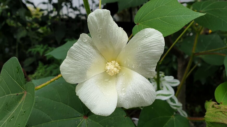 ppuDi/shutterstock.com