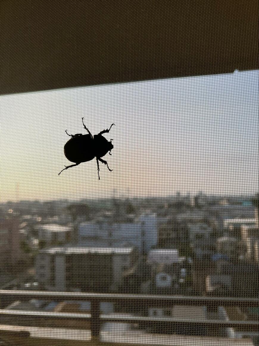 出所：@shintaka74