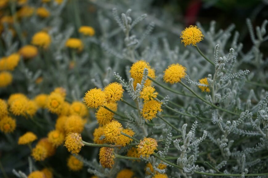 crystaldream/shutterstock.com