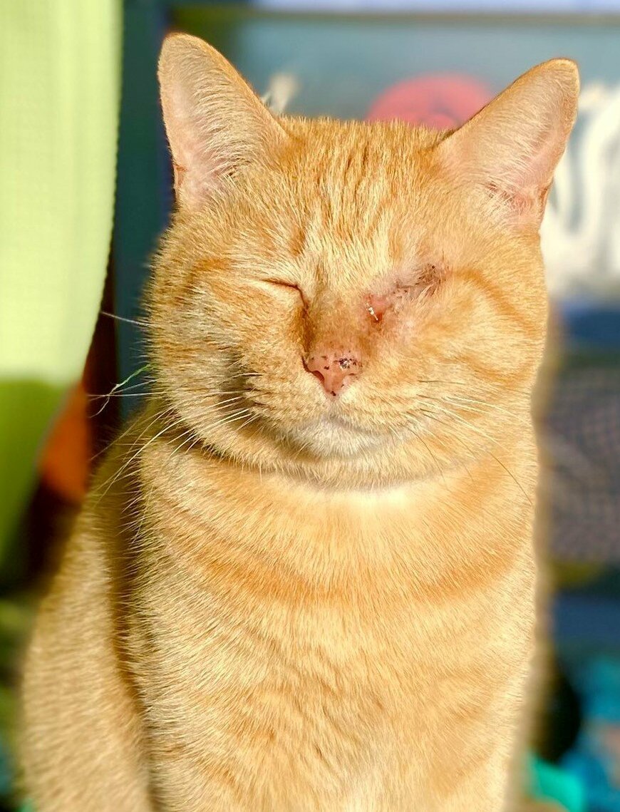 出所：@luna7taka9