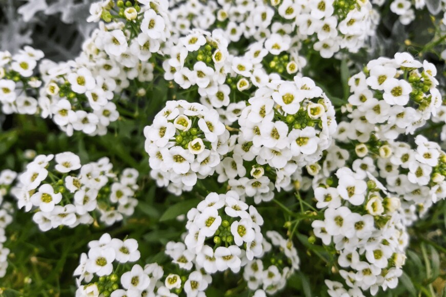 Svetlana Dunaeva/istockphoto.com