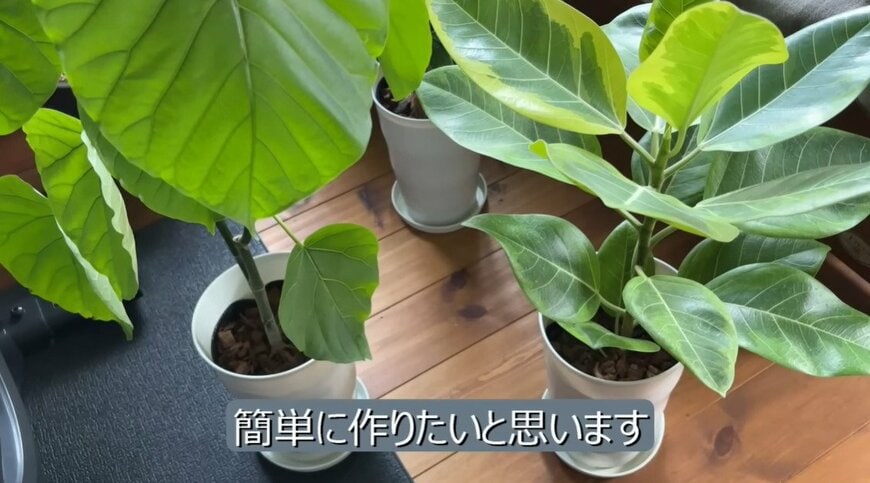 【家にあるもので簡単DIY】観葉植物をラクラク移動！使わなくなったキッチンアイテムがキャスター台に大変身