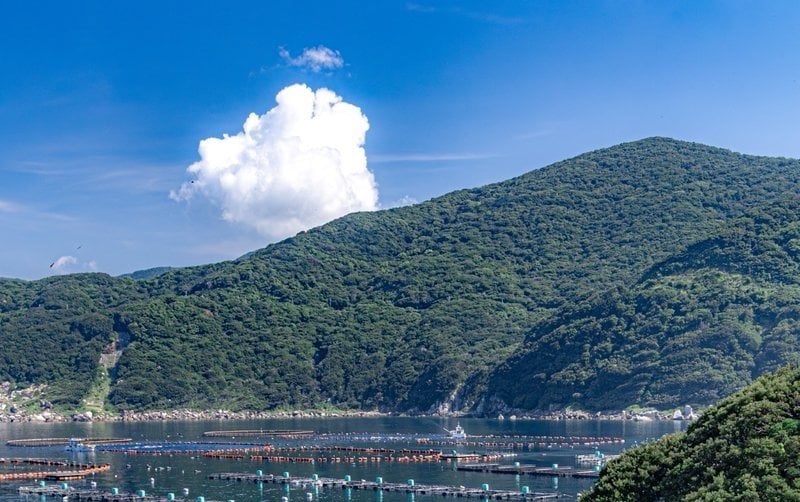 高知県で撮影された「美しすぎる海」に目を奪われてしまう　綺麗なグラデーションに「ずっと見ていられる」