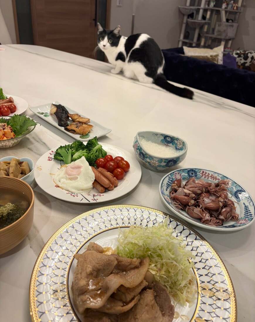 出所：藤あや子のAbemaブログ（@ayako-fuji）参照日：2026年5月3日