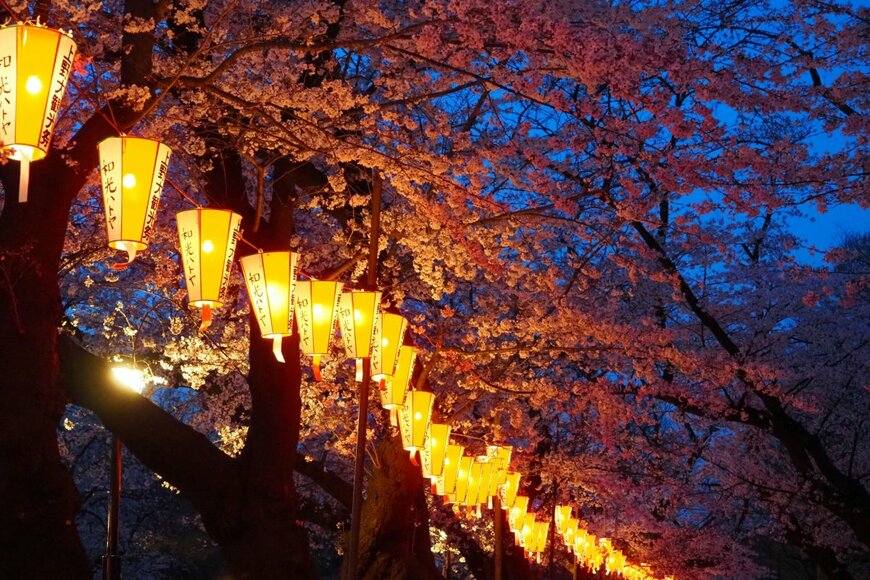 David M.L/shutterstock.com