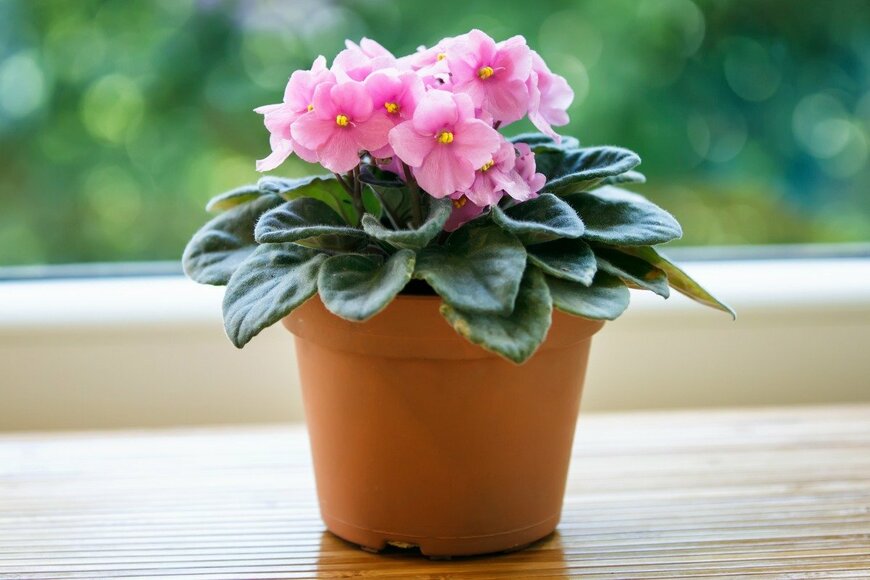 Robert_Horvat/istockphoto.com