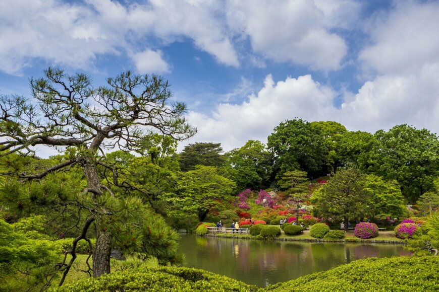 Hung Nguyen Long/shutterstock.com